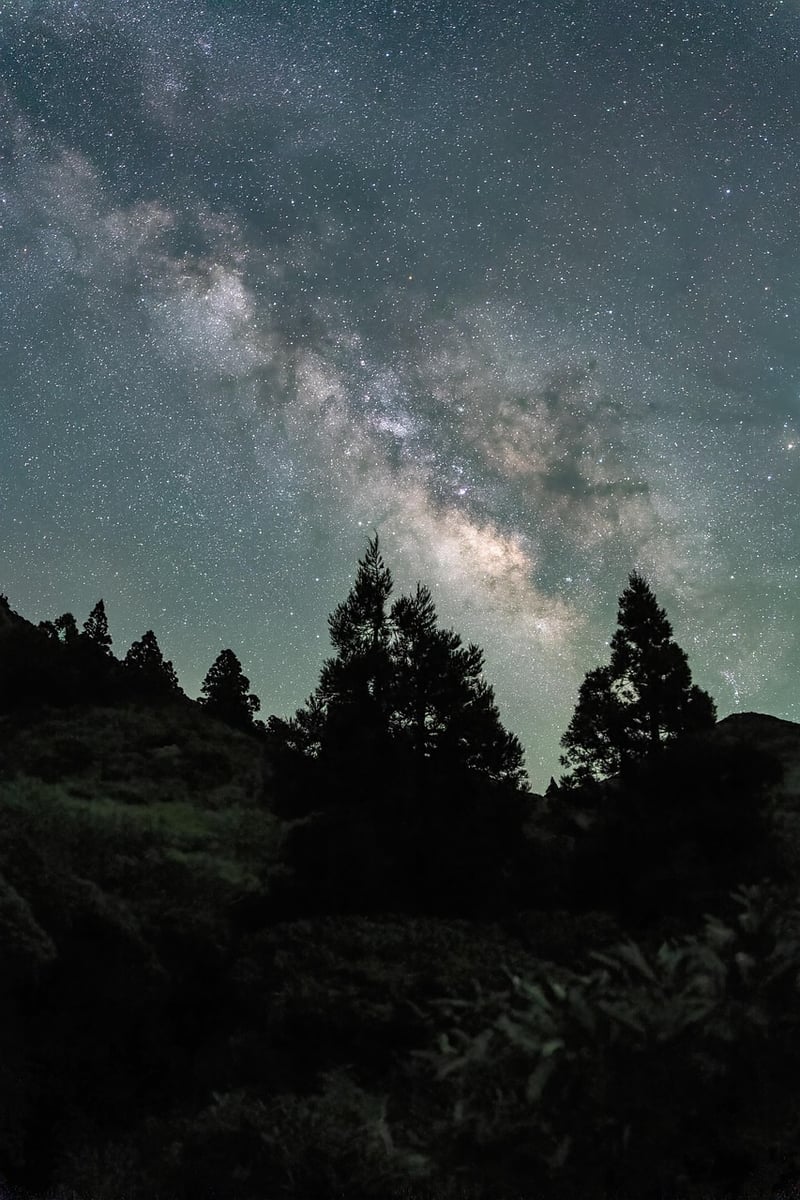 Skydiving under the stars